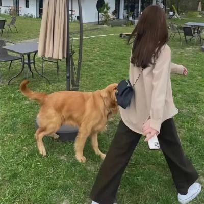 侏儒怪